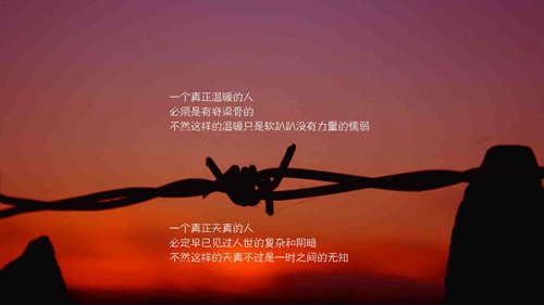 七夕情話摘抄文章