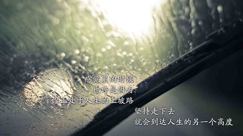 抖音一歲一個紅包雨情話