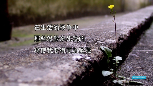 芭蕉常用來表達什么