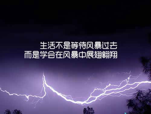 夏天的告白情書電視劇